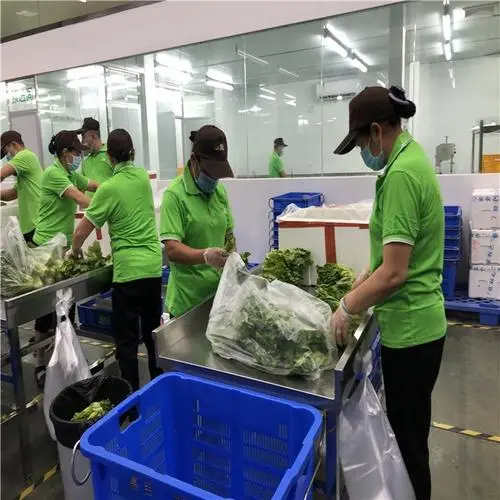 機關單位找食堂配送食材需要注意哪些事項？
