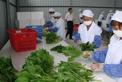 食堂承包公司告訴大家三伏天注意事項有哪些？