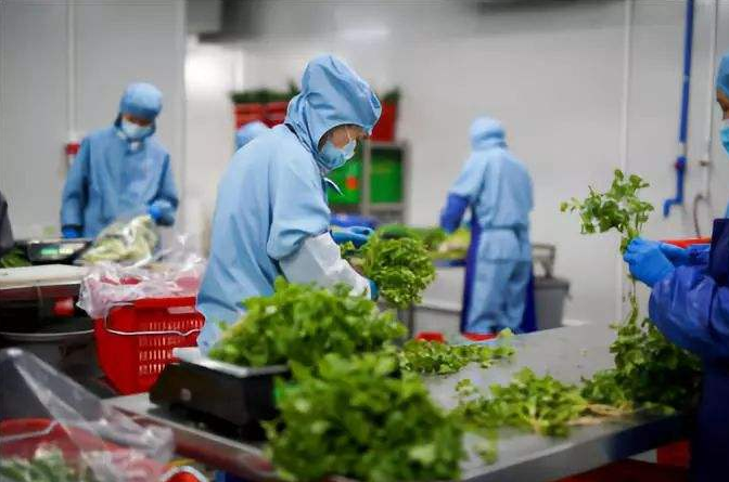 工廠食堂承包簽約時應該注意哪些事項？